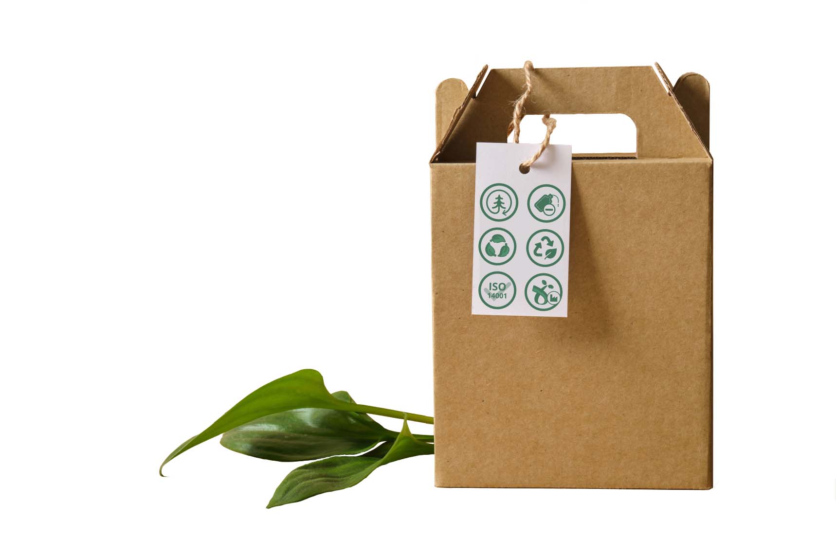 Package with sustainability characteristics label